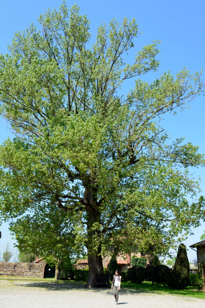 Italy: Grazzano Visconti