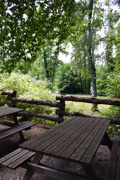 Zoo in Italy Picnic Area