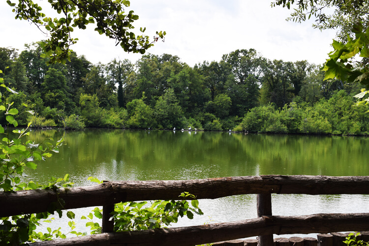 Swamp in the middle of the Zoo in Italy