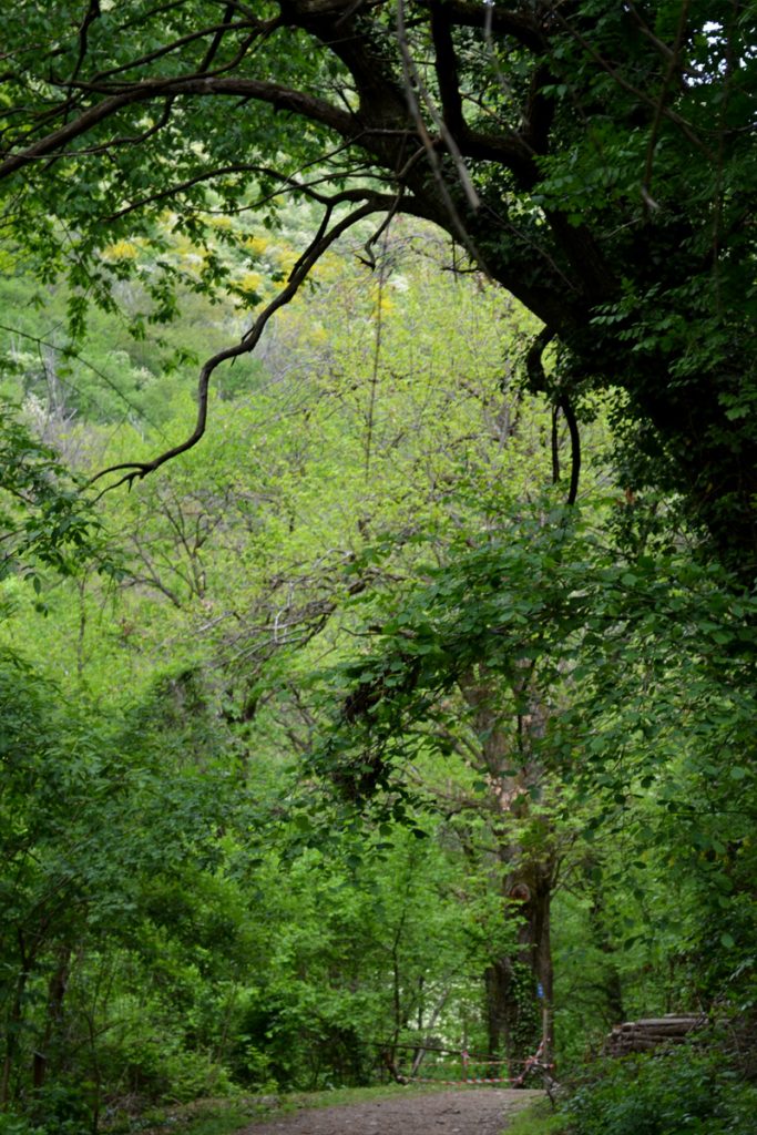 Italy, Le cascate di Monticelli Brusati