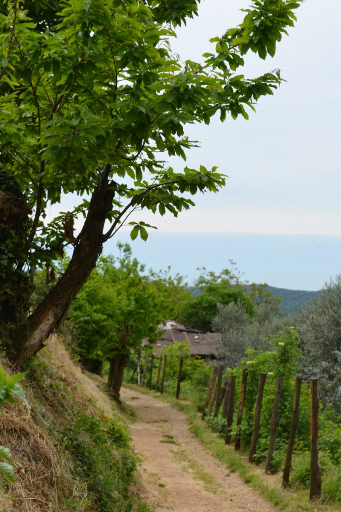 Italy, Le cascate di Monticelli Brusati