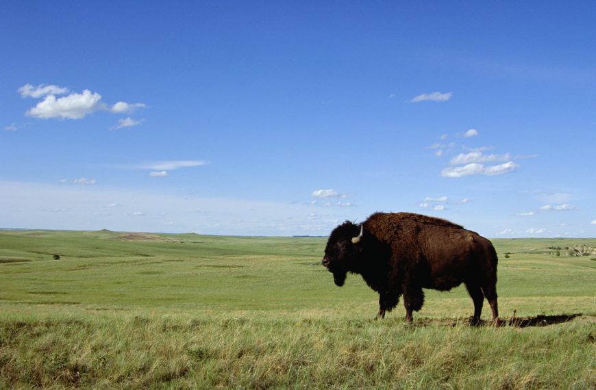 Things to do in North Dakota